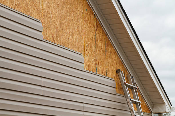 Professional Siding Replacement technician working in Augusta, KY